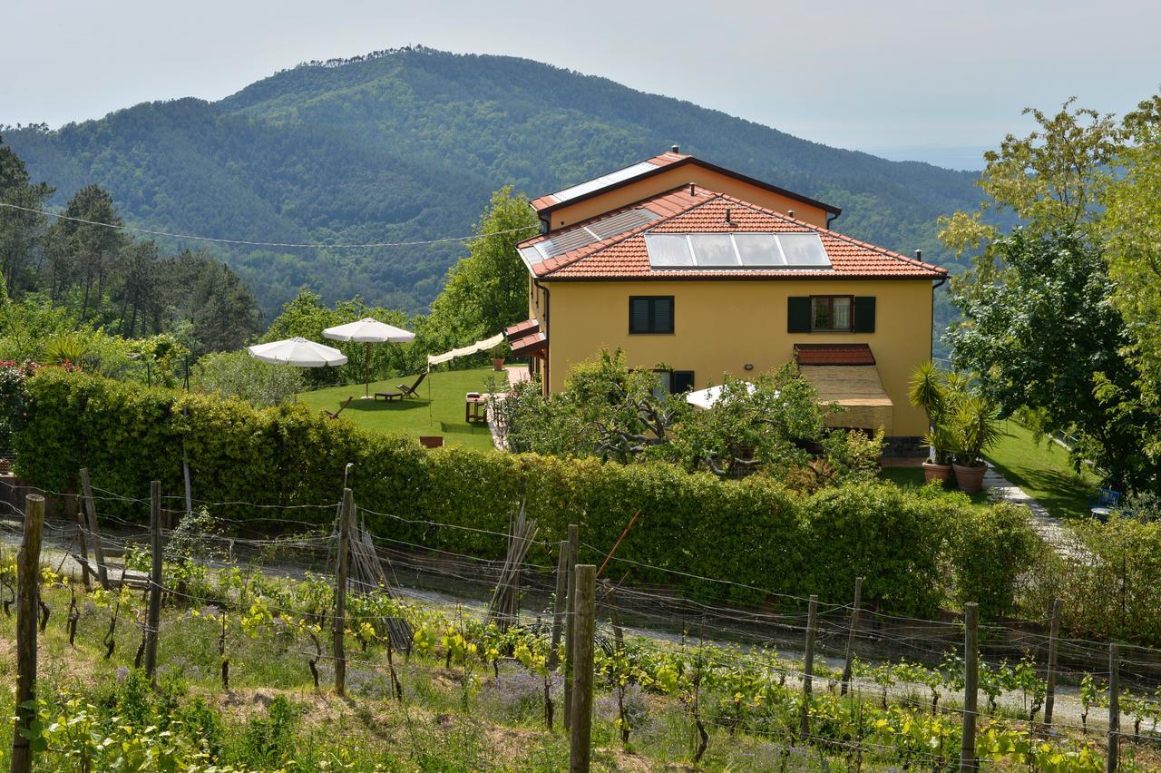 Il Laghello Di Amina Villa ฟรามูรา ภายนอก รูปภาพ
